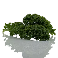 Dagsfersk Grønnkål - Master