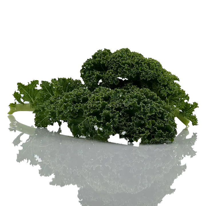 Dagsfersk Grønnkål - Master