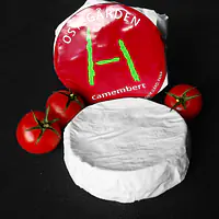 Camembert - Master