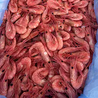 Ferske reker løsvekt - Master