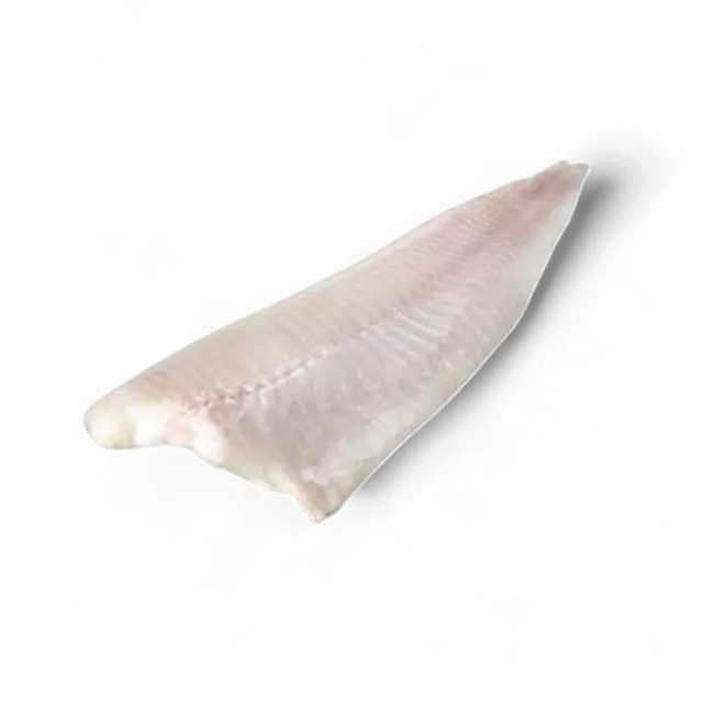 Fersk filet av brosme