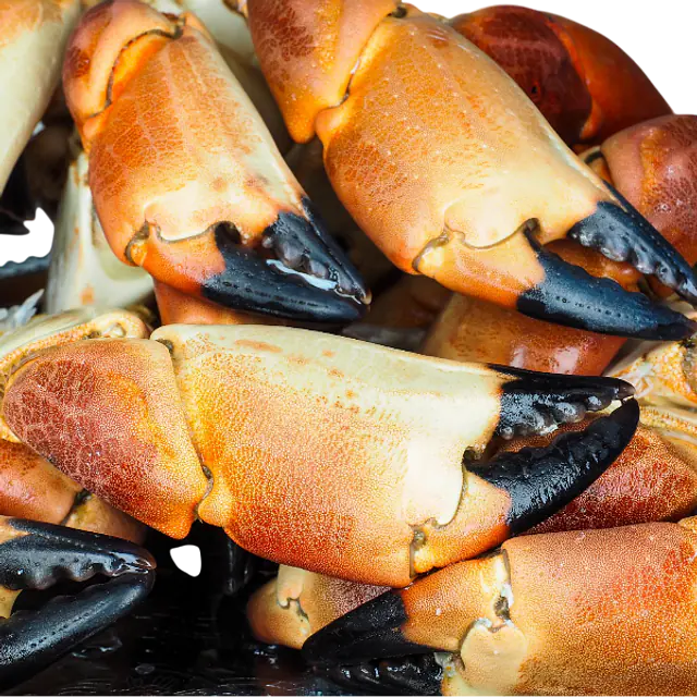 Fesrkkokte krabbeklør