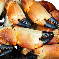 Fesrkkokte krabbeklør