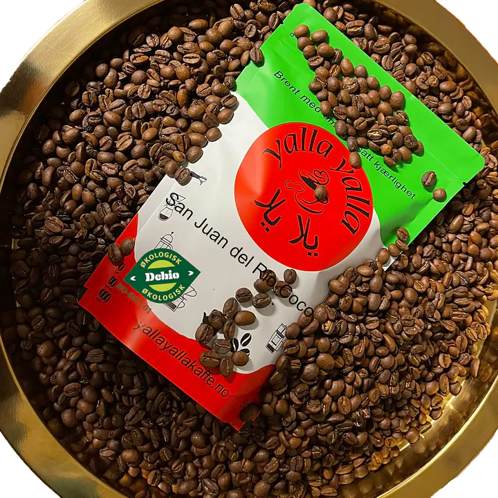 San Juan del Rio Coco - Master