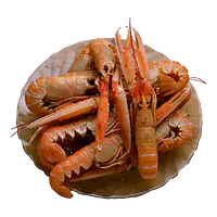 Kreps levende - Master