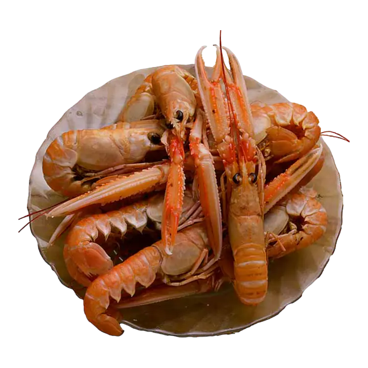 Kreps levende - Master