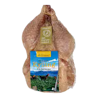 Hel Økologisk Kylling - Master