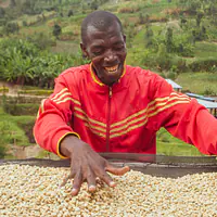 Økologisk kaffebukett - Master