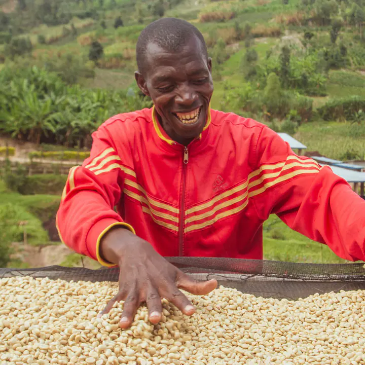 Økologisk kaffebukett - Master